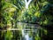 Tropical palm forest on the river Tropical thickets mangrove forest on the island of Sri Lanka