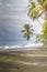 Tropical palm fringed beach