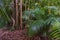 Tropical palm leaves, green rainforest background