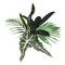 Tropical palm leaves, jungle leaf, dark ficus plant.