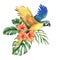 Tropical palm leaves, monstera and flowers of red hibiscus, bright juicy with blue-yellow macaw parrot. Hand drawn