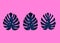 Tropical palm leaves. Monstera leaves on millenial pink background. Three different monstera leaves