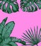 Tropical palm leaves on pink background. Minimal nature summer concept. Flat lay. Trendy Summer Tropical Leaves Vector
