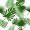 Tropical palm leaves seamless pattern, background with jungle leaf. Backdrop with exotic plants. Vector.