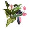 Tropical palm, pink liana branches and exotic leaves, Spathiphyllum flower composition over white background.