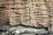 Tropical palm tree with aged bark texture with cracks as wooden background