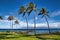 Tropical palm tree and Molokai view from Napili Bay on Maui.