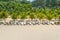 Tropical palm tree rows planted on white beach sand