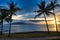 Tropical palm tree view from Maui out to Lanai in the distance.