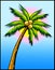 Tropical palm tree w/sun