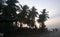 Tropical palm trees, some huts on the beach of Arugam Bay