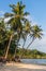 Tropical Palm trees, Thung Wua Laen Beach