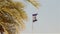 Tropical palms on the background of the flag of Israel, Israeli flag against the blue sky, shallow depth of field, sunny