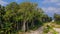 Tropical panoramic landscape with trees near road at the island Manadhoo the capital of Noonu atoll