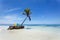 Tropical paradise beach with white sand, palm tree and two beach chairs