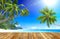 Tropical Paradise Beach and Wooden Plank Floor