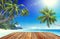 Tropical Paradise Beach and Wooden Planks