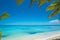 Tropical paradise: caribbean beach with single palm tree and boat, Punta Cana