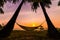 Tropical Paradise - Hammock between palm trees at the seaside on