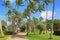 Tropical paradise, idyllic palm trees and footpath in Aruba, Dutch Caribbean