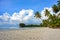 Tropical paradise nature, sea water and palm trees