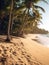 Tropical Paradise Palm Trees on the Beach