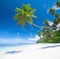 Tropical Paradise Palm Trees Blues Sea Sand Concept