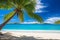 Tropical Paradise: Pristine Beach with Turquoise Waters and Palm Trees