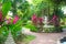 Tropical park with flowers and trees, paths and sculptures. Landscape design of the site