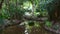 Tropical Park with Greenery and Pond with Large Stones in Thailand