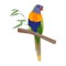 Tropical parrot on a branch in the jungle