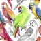 Tropical parrot seamless pattern. Watercolor background.