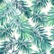 Tropical pattern with exotic plants. Seamless vector tropical pattern with green phoenix palm leaves.