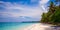 Tropical perfect beach with beautiful palms and