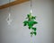 Tropical `Philodendron Scandens` house plant hanging in macrame glass pot