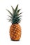 Tropical Pineapple Yellow Juicy Fruit that is used to make pina coladas and that is typically put on Hawaiian pizza