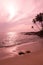 Tropical pink landscape