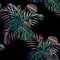 Tropical pink palms leaves and other exotic plants seamless pattern . Palm tree leaves decoration on black background.
