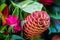 Tropical plant arrangement in beautiful fun vivid complimentary colors