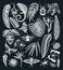 Tropical plants and animals collection on chalkboard. Hand drawn exotic flowers, citrus fruits, palm leaves, tropical insects and