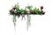 Tropical plants bush decor hanging Dischidia, Bromeliad, Dracaena, Begonia, Birdâ€™s nest fern indoor garden houseplant nature