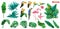 Tropical plants and flowers, exotic birds. Toucan, parrot, flamingo. Jungle plasticine art icon set. 3d vector
