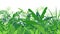 Tropical Plants Green Seamless Pattern