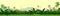 Tropical plants, herbs. The jungle, the savannah. Vector. Dense thickets of meadow. Light foggy green horizon, lush young grass an