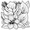 Tropical plants and hibiscus flowers. Vector black and white coloring page.