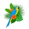 Tropical plants leaf flower arrangement with blue yellow macaw