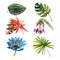 Tropical plants leaves watercolor sketch icons