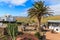 Tropical plants on Mirador de Los Valle viewpoint