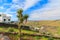 Tropical plants on Mirador de Los Valle viewpoint