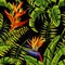 Tropical plants painting seamless background